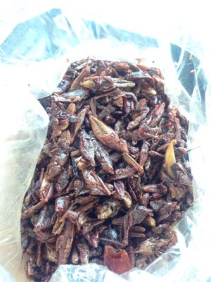 Bolsa de Chapulines $5