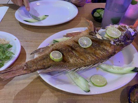 Red Snapper about 10" long!