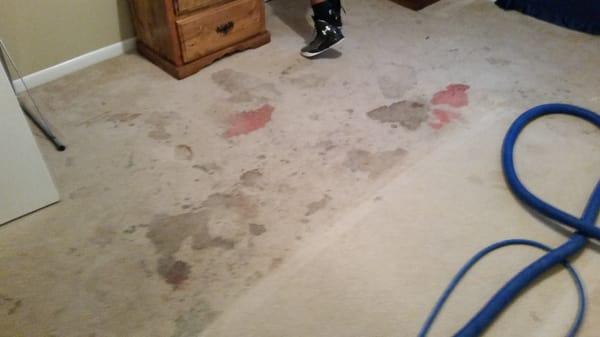 1st Choice Steam Cleaning can clean away the stains and spills