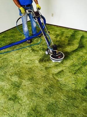 Steam cleaning carpet with Rotovac 360