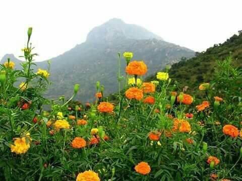 Spiritual center or the universe my arunachala