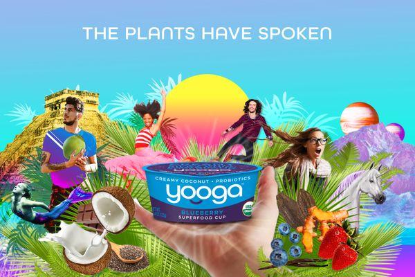 An ad I designed for Yooga superfoods