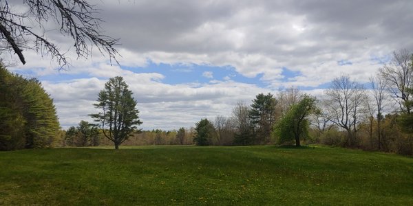 Chandler Brook Preserve