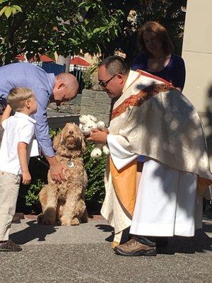 Blessing of the animals