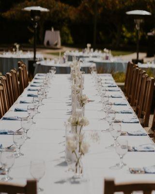 Table Linens