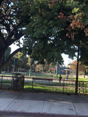 Playground in back, grass in middle, hoops in front