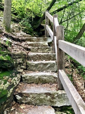 Steps to top of falls