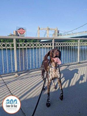 Lupita always enjoys her walks around Minneapolis!