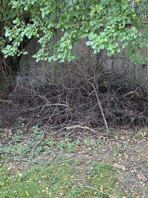 Garbage left on my property after cutting neighbors lawn.