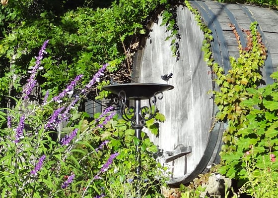 Heather, barrel of wine, and bird fountain at winery