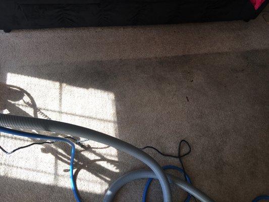 360 carpet cleaning 3BR 80$