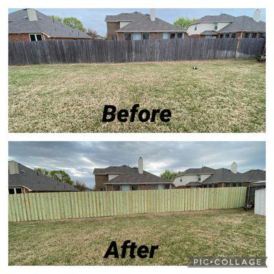 1x6x6 treated dog ear fencing, installed board on board for privacy.