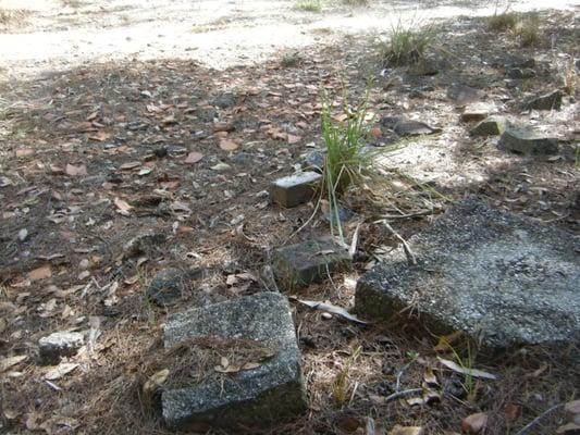 All that is left of the old turpentine camp