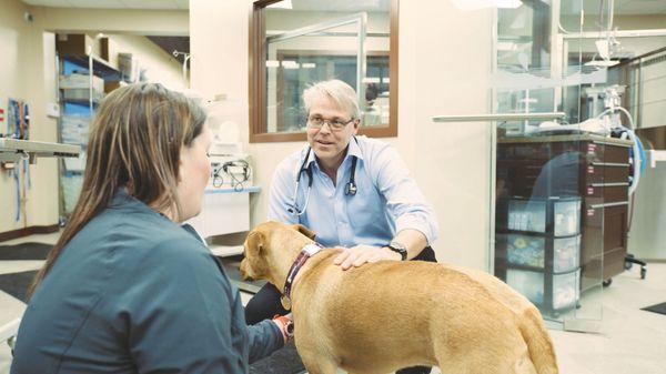 Boundary Bay Veterinary Specialty Hospital