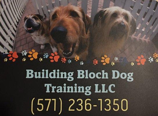 Building Bloch Dog Training