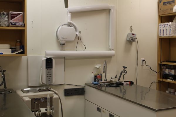 Dental X-ray and table