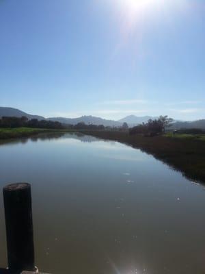 The bordering creek view of Mt Tam!