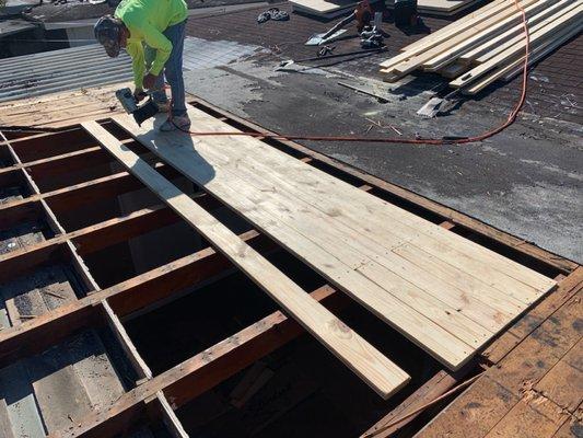 replacing rotted tongue and groove on a flat roof in hollywood beach fl