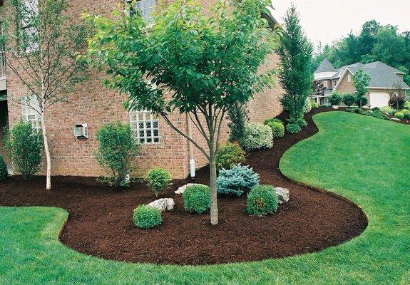 Cesar Rodriguez Landscaping