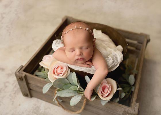 newborn in a bucket