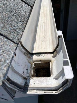 Gutter cleaning