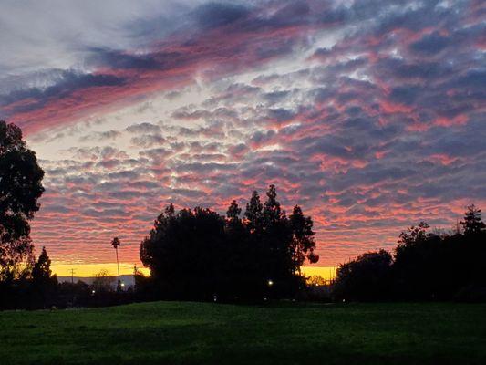 The sky's colors when the niners play