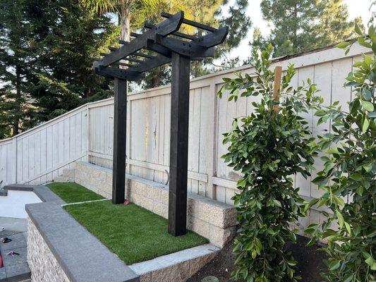 Back yard split face cinder block wall, Ficus Trees, Artificial turf and Stained Arbor.