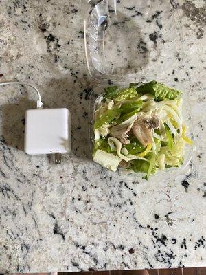 Small garden salad: Missing tomato and cucumber Charger used for size comparison. Very small.