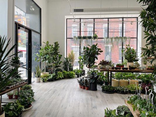 We specialize in helping you find the right plant for your lifestyle and space.