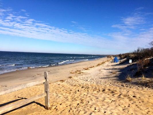 Ellis Landing, Brewster