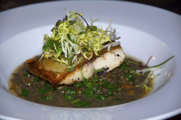 Pan-seared Halibut over Lentils with Microgreens Salad