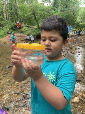 What do you wish, little fish? This creek explorer celebrates his "find" within a specimen collection device. Bravo student-led discovery!