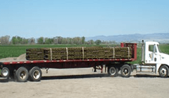 Delivery of your New Sod