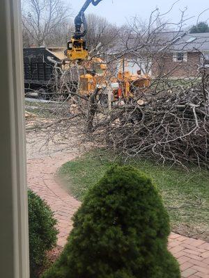 Then, the truck and wood chipper arrived to clear the branches