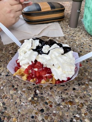 Waffle with soft vanilla ice cream and lot of toppings!!