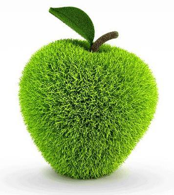 GreenApple LLC