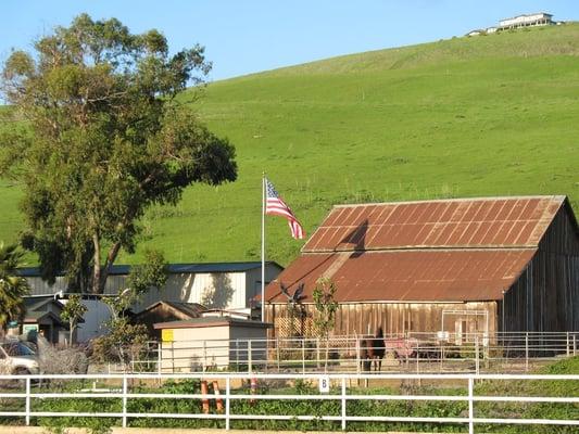 Hay Barn and Pasture