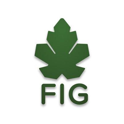 FIG Staffing