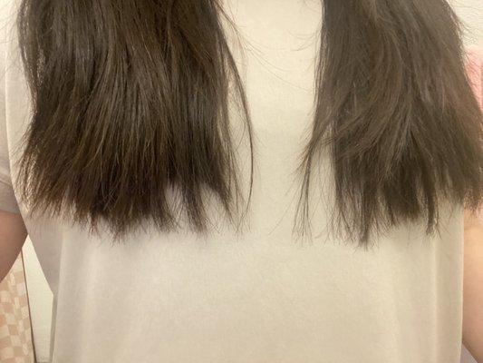 This is my hair after the hair cut after washing. Seriously?