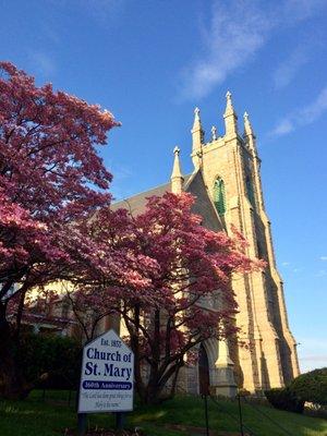 St. Mary's in the Spring