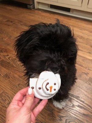 Baby Oliver munching down on his treat after his Mom's visit!