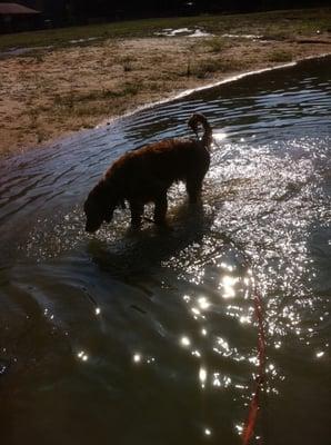 Introduction to swim training at the Farm.