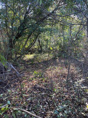 Macon, Ga
.41 acre lot