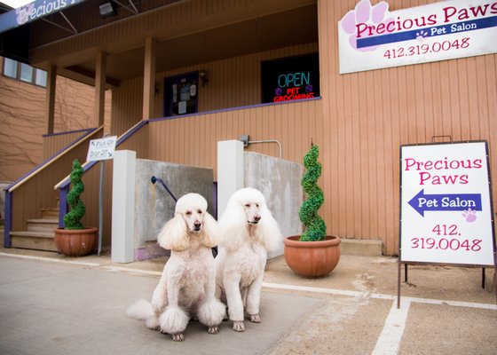 Aspen and Monte are here to welcome you.