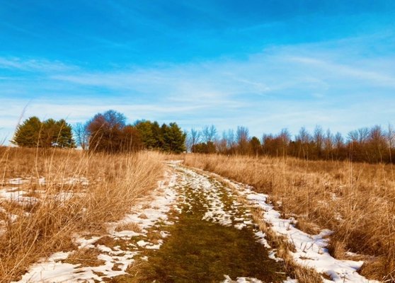 Gwynedd Preserve - Natural Lands