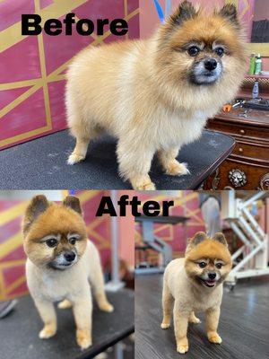 Jimmy chew is a favorite here and we love his before and afters