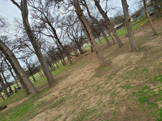 Disk golf at the park