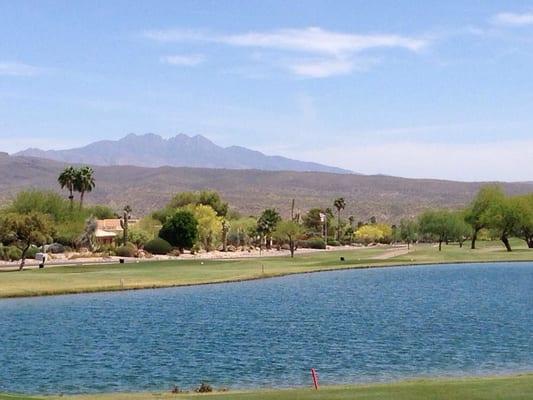 Four Peaks in the background. See it?