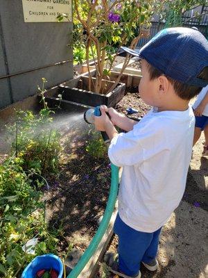 The Pre-K 4's weekly visit to the community garden lets our students observe, discover and appreciate nature.