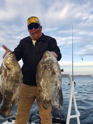 client holding triple tail caught in daytona beach